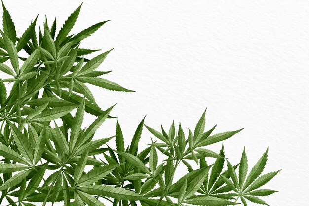 Watercolor cannabis leaf background