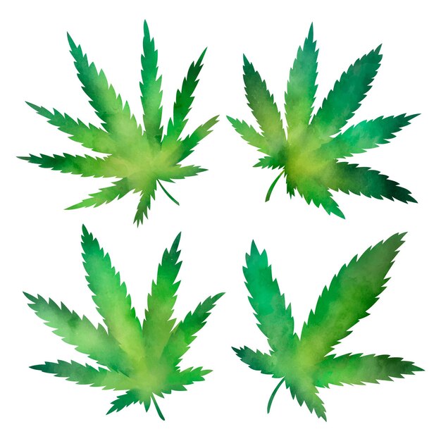 Watercolor cannabis leaves