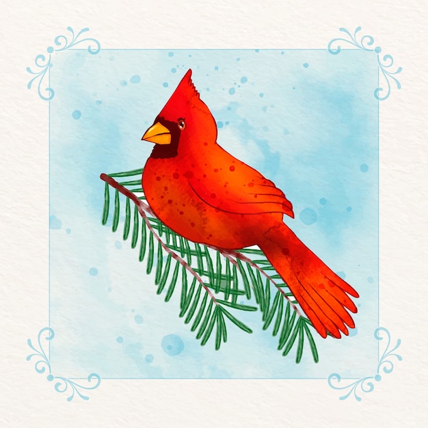 Free vector watercolor cardinal bird illustration