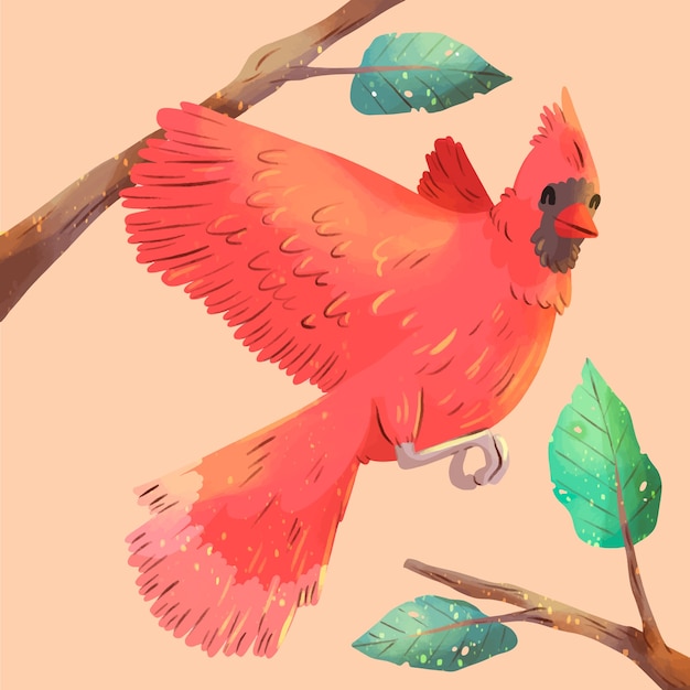 Free vector watercolor cardinal bird illustration