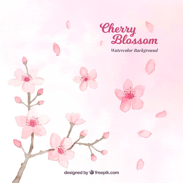 Watercolor cherry blossom background