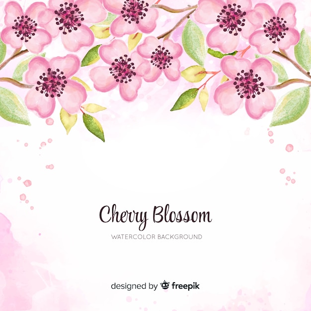 Watercolor cherry blossom background