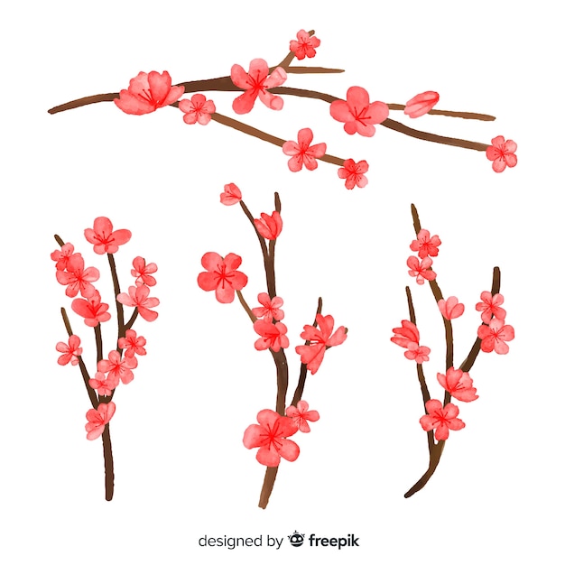 Watercolor cherry blossom branch background