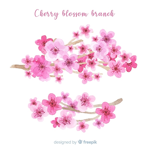Watercolor cherry blossom branch background