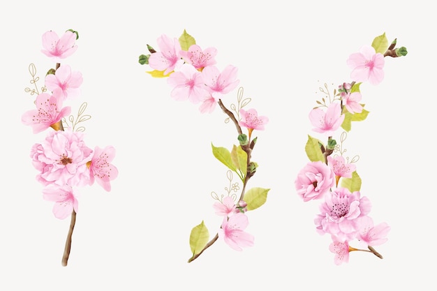 Акварельная иллюстрация ветви цветущей сакуры