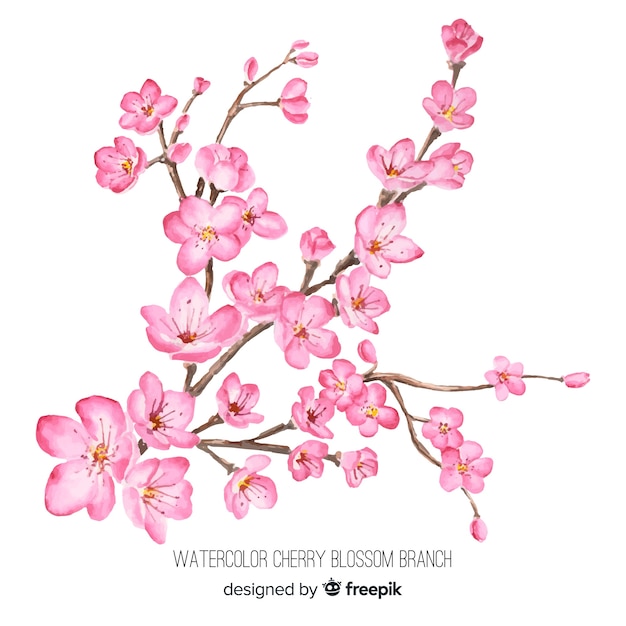 Watercolor cherry blossom branch