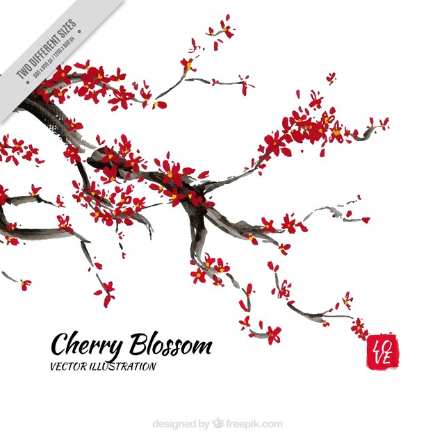 Watercolor cherry blossoms branch background