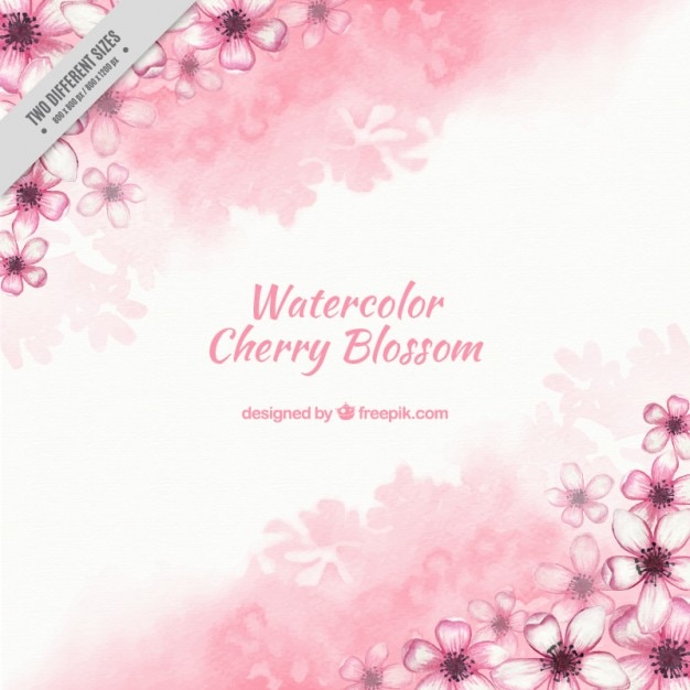 Watercolor cherry flowers background