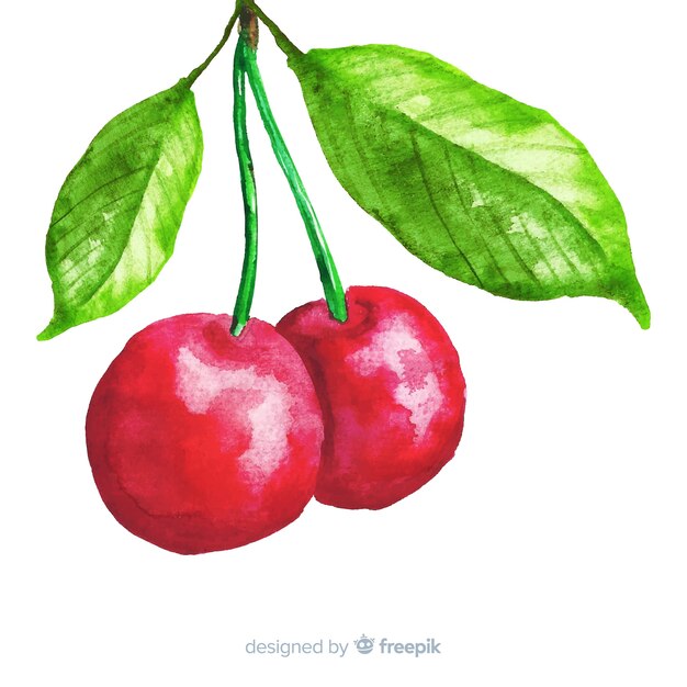 Watercolor cherry