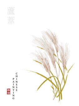 緑の草の葦のセット葦植物緑の沼の杖草の図 プレミアムベクター 緑の草の葦のセット葦植物緑の沼の杖草の図 プレミアムベクター