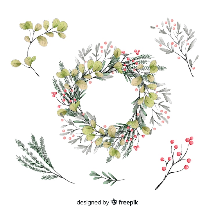 Free Vector watercolor christmas beautiful flowers collection