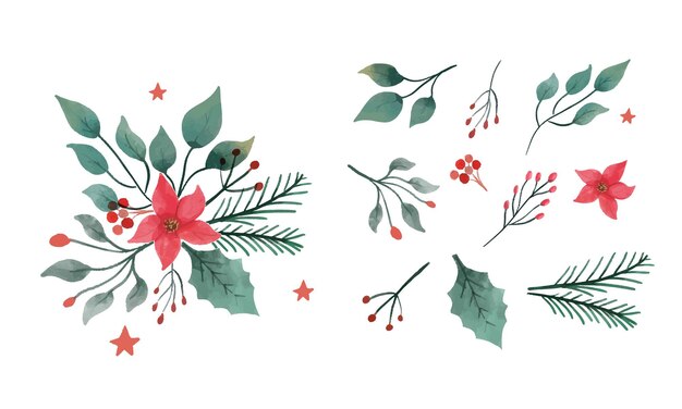 Watercolor Christmas flower collection