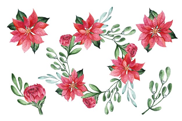 Watercolor christmas flower collection