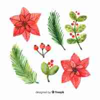Free vector watercolor christmas flower and wreath collection