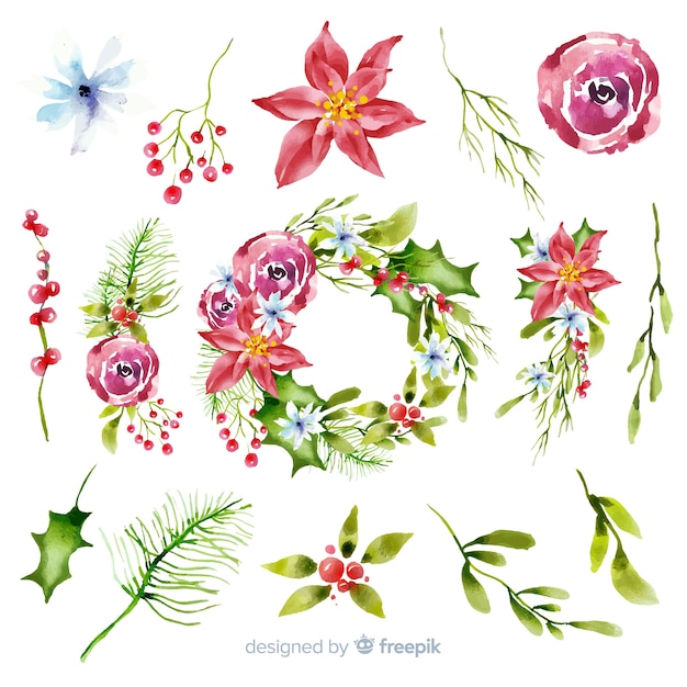 Free vector watercolor christmas flower & wreath collection