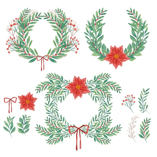 水彩のクリスマスの花と花輪のコレクション