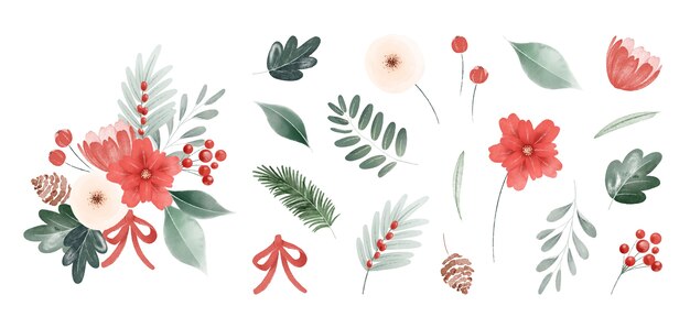 水彩画のクリスマスの葉と花のコレクション