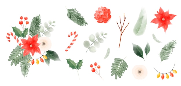 Watercolor christmas leaves and flowers collection