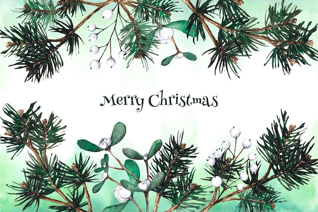 Watercolor christmas tree branches background