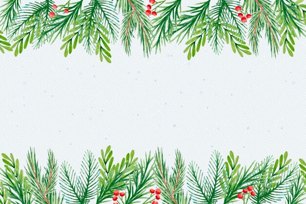 Watercolor christmas tree branches background