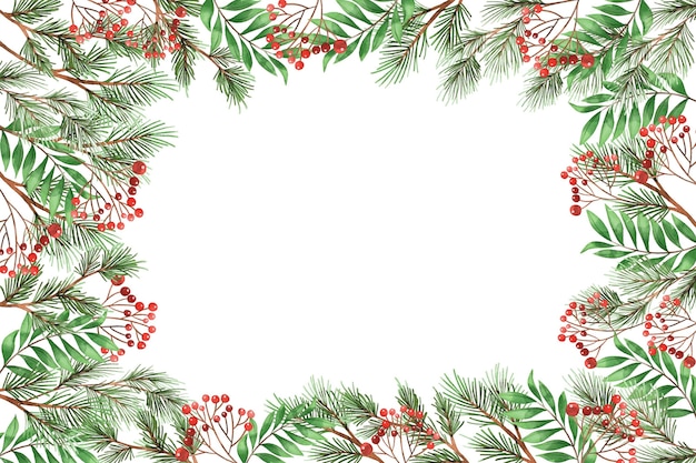 Watercolor christmas tree branches background