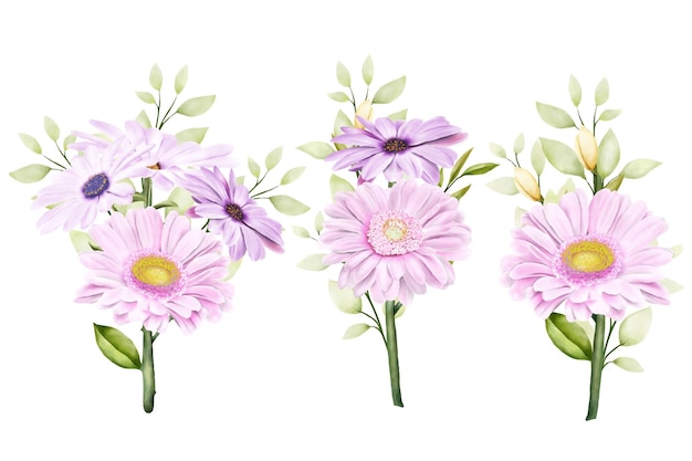 Free vector watercolor chrysanthemum  set