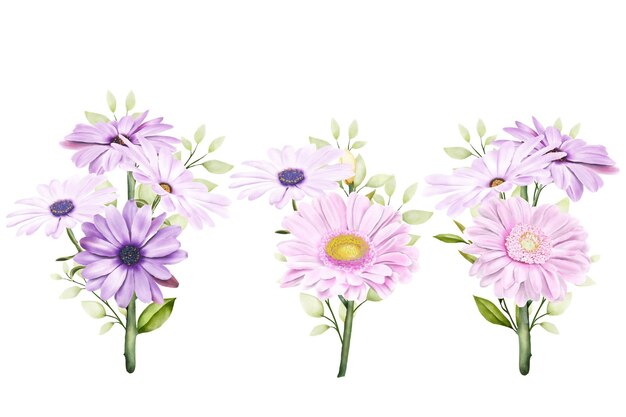 watercolor chrysanthemum  set