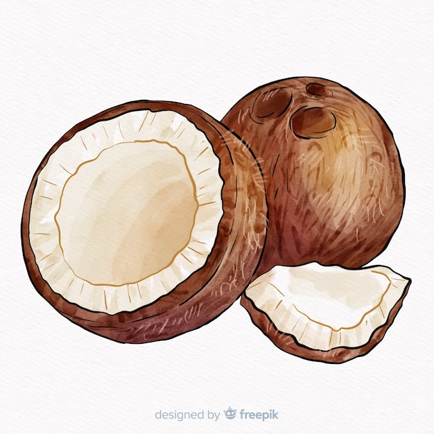 Акварельный кокосовый фон