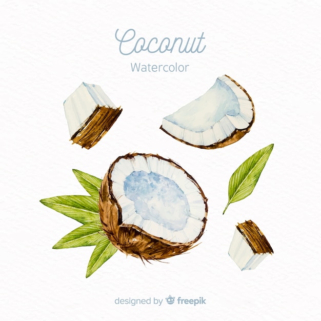 Free vector watercolor coconut background