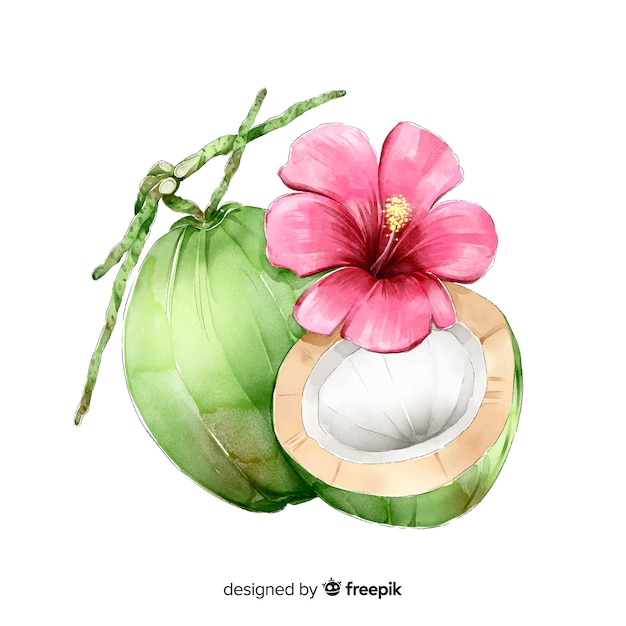 Free vector watercolor coconut