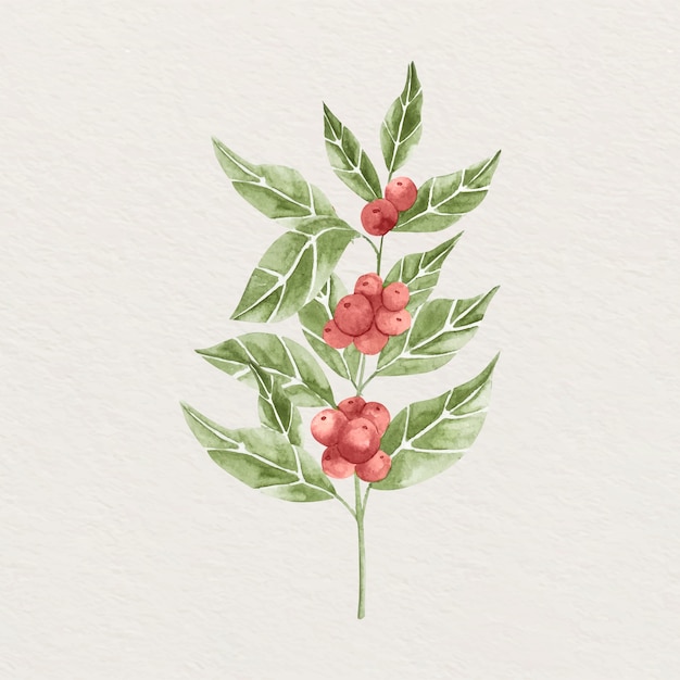 Бесплатное векторное изображение Акварельная иллюстрация кофейного растения
