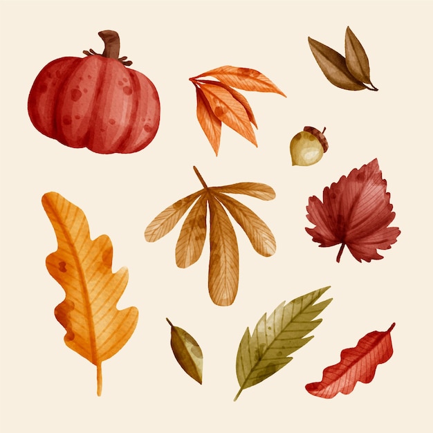 秋の要素の水彩画コレクション