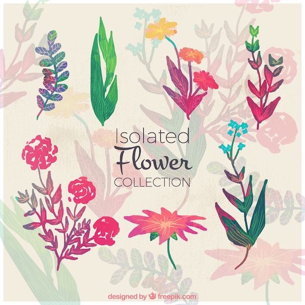 Free vector watercolor collection of colorful flowers