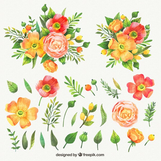 Watercolor collection of nice flowers
