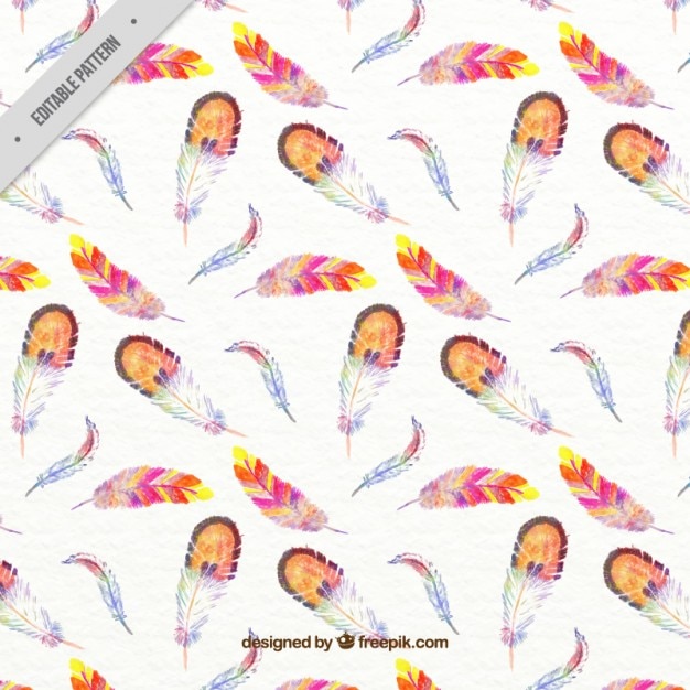 Free Vector watercolor colored feathers pattern 