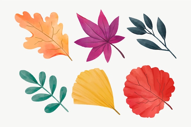 水彩色とりどりの葉コレクション