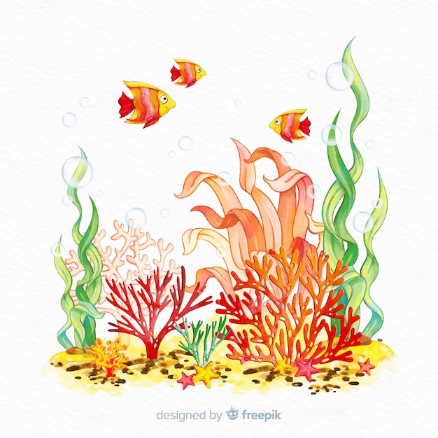 Watercolor coral background