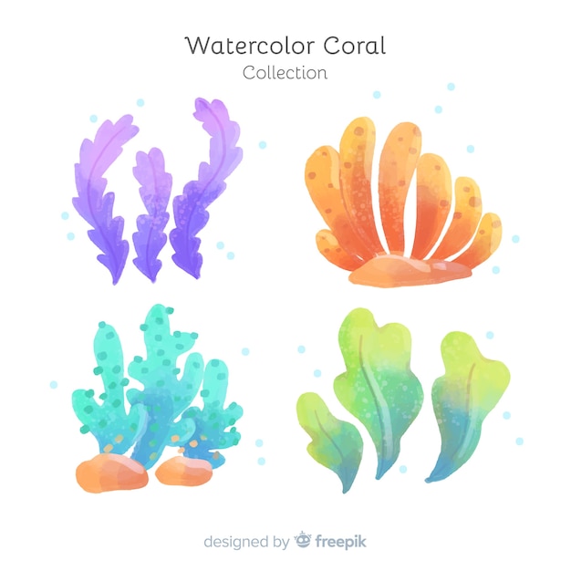 Бесплатное векторное изображение Коллекция акварелей кораллов