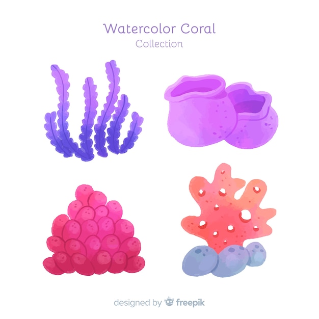 Watercolor coral collection