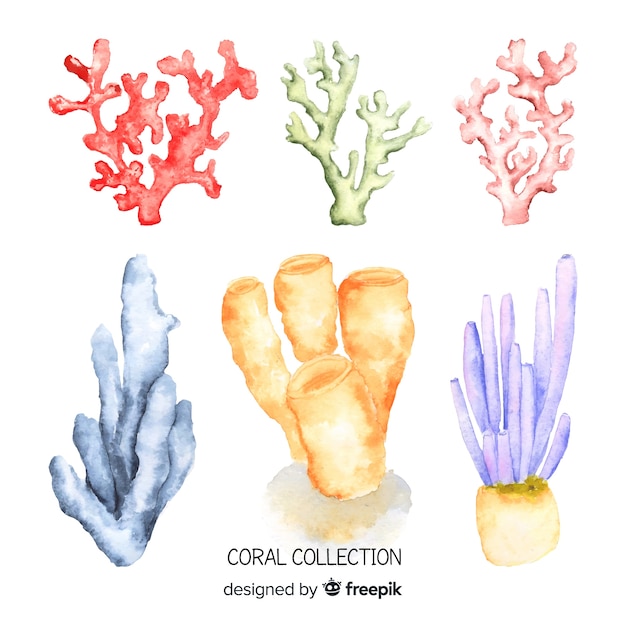 Watercolor coral collection