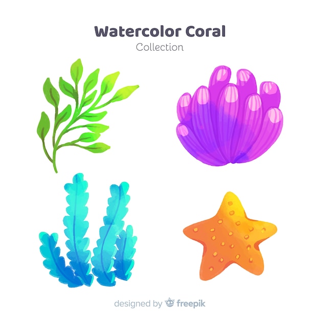 Watercolor coral collection