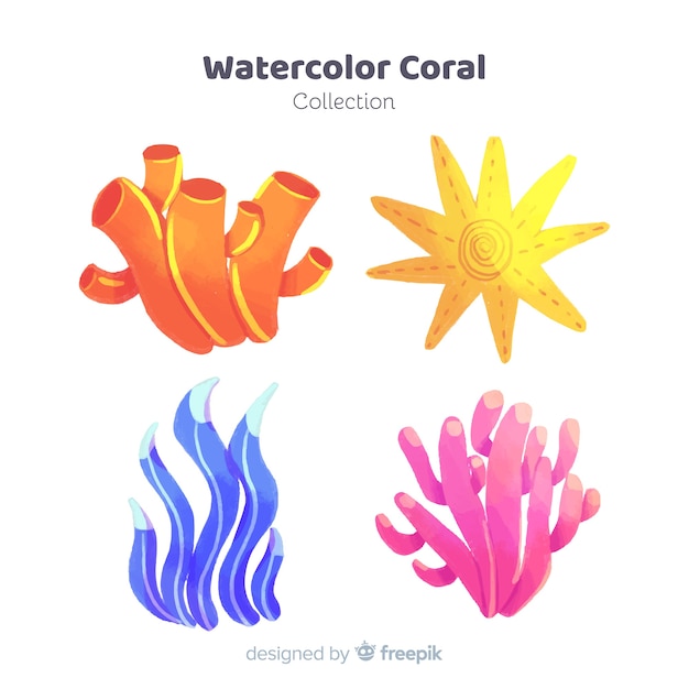 Watercolor coral collection