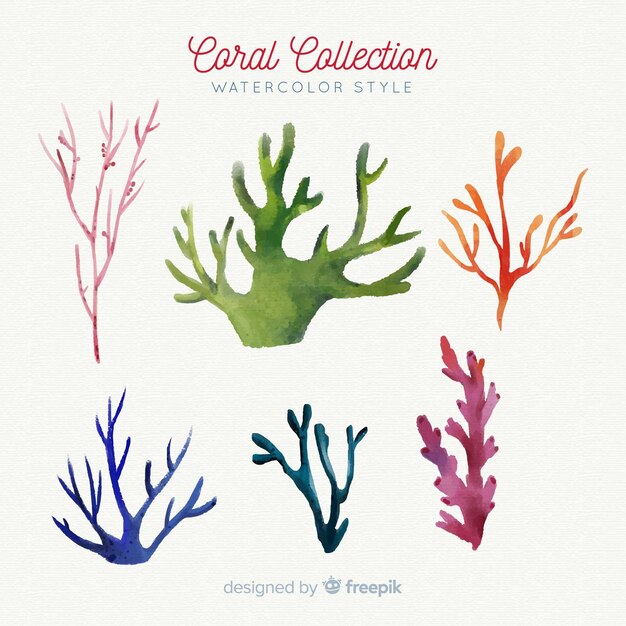 Watercolor coral collection