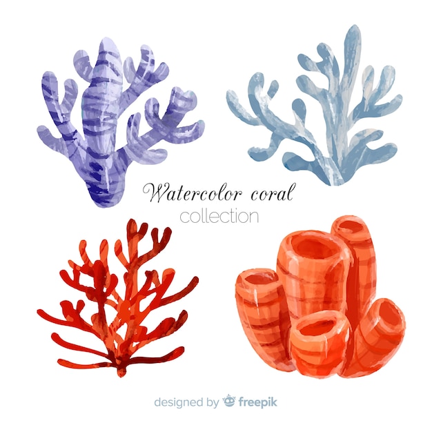 Коллекция акварелей кораллов