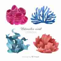 Free vector watercolor coral collection