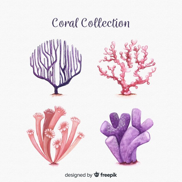 Коллекция акварелей кораллов