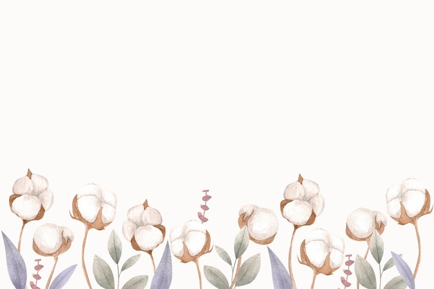 Watercolor cotton background illustration