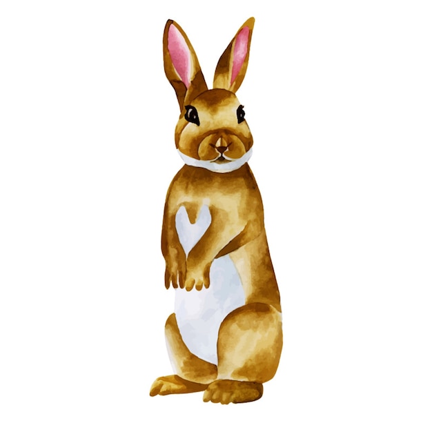 Free vector watercolor cute rabbit