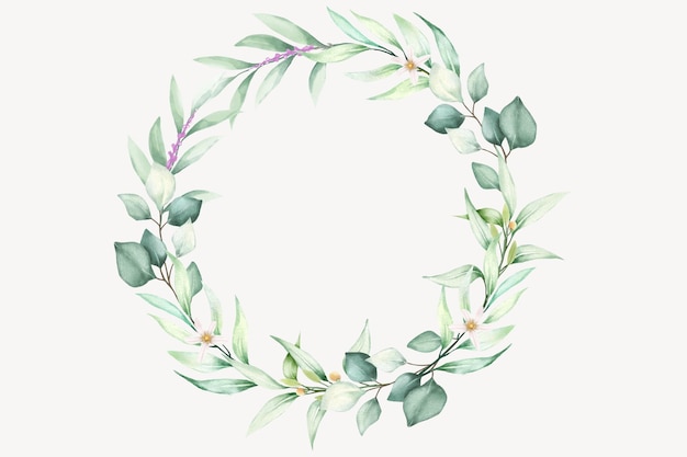 Watercolor Daisy Floral Wreath design