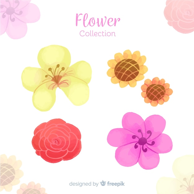 Free vector watercolor decorative floral element collection